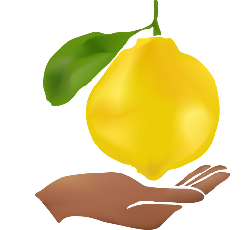 The Lemon Grove